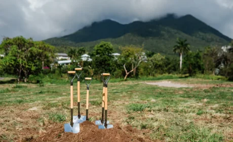 FOUR SEASONS NEVIS PEAK RESIDENCES CELEBRATE