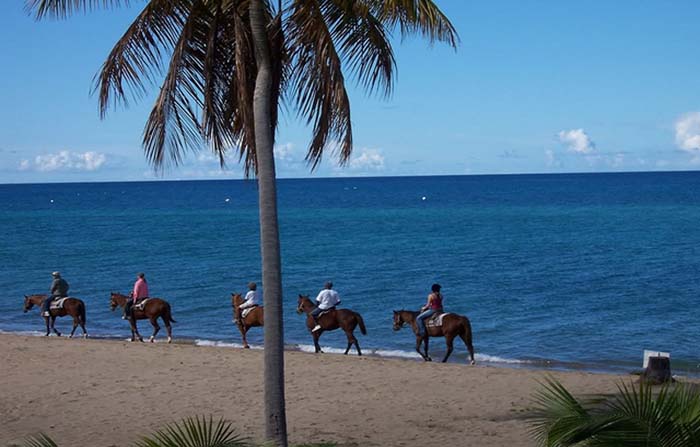 Horses riding on the Nevis beach
